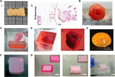 An Overview of Extracellular Matrix-Based Bioinks for 3D Bioprinting